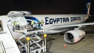 وصول لحوم تشادية لمصر 
