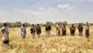 "العين الإخبارية" تتقصى.. الحوثيون يؤسسون إمبراطورية زراعية على جثة الفلاح اليمني