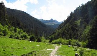 الجبال موطن لـ85% من الطيور والثدييات والبرمائيات