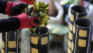 جمع نفايات الطعام في الفلبين