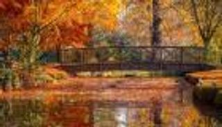 يوم الاعتدال الخريفي 2023.. جنوب الأرض يكتسي بالأصفر