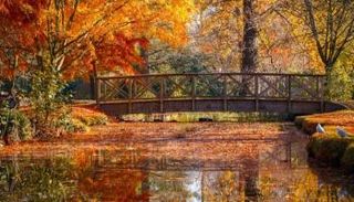 أحد مظاهر الخريف في النصف الجنوبي من الأرض