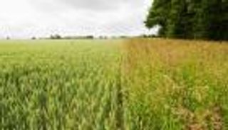 نحو مناخ مستدام.. الزراعة الأوروبية بلا مبيدات كيميائية بحلول 2050