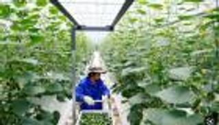 شركات التكنولوجيا الزراعية الناشئة.. 11 مليار دولار استثمارات في 2022