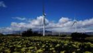 مصائب أوروبا تتوالى.. "التوربينات" تنسف الحلم الأخضر