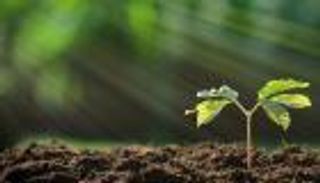 فتح الصندوق الأسود لمعادلة التمثيل الضوئي.. مفاجأة في أهم "عملية بيئية"