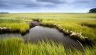 ارتفاع مستوى سطح البحر.. مفاجأة عن أبرز سلبيات تغير المناخ (حوار)