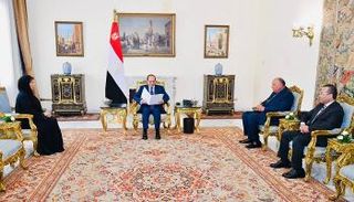 الرئيس المصري خلال استقباله سفيرة دولة الإمارات بالقاهرة