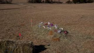 طريقة الدفن الأخضر