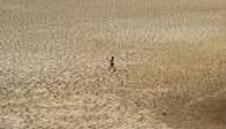 أرض تونس عَطْشَى.. والتغير المناخي "يزرع" الخوف (صور)