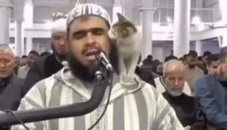 الشيخ الجزائري وليد محساس