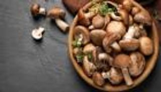 المشروم.. حل سحري لأزمتي المناخ والغذاء