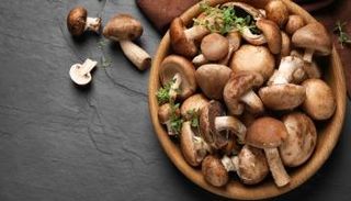 مشروم - صورة أرشيفية