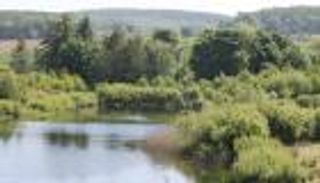 المحميات الطبيعية.. صاحبة الدور الحاسم في أزمة تغيرات المناخ