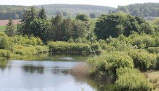 محمية طبيعية - أرشيفية