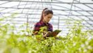 العمل من المنزل والرقمنة.. مساران للحياد المناخي