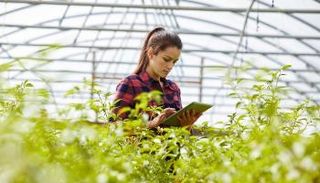 الرقمنة والتداعيات الإيجابية على المناخ