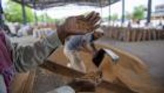 تغير المناخ يحرق سلة غذاء العالم.. الإنتاج يتراجع