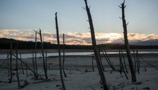 الجفاف - أرشيفية