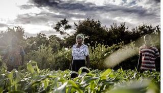 تمكين المرأة يخفّض مستويات الجوع ويعزز الاقتصاد