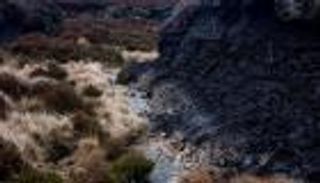 ناقوس خطر.. "بالوعة الكربون" في بريطانيا قد تتحول إلى "قنبلة المناخ"