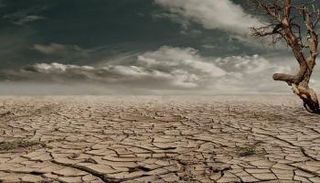 موجات الجفاف المفاجئة تتزايد بفعل تغير المناخ