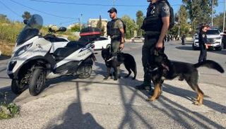 عمليات بحث عن المنفذ