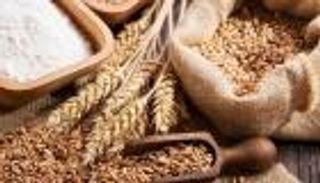 رمضان 2023.. ما حكم تأخير زكاة الفطر عن صلاة العيد؟