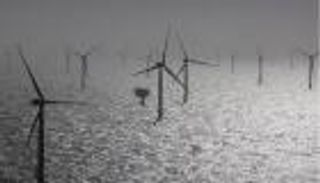 ضربة "ثلاثية" لصناعة طاقة الرياح.. خسائر مليارية تعيق التحول الأخضر