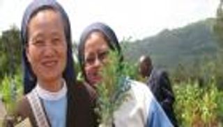 زرع الأمل في الكوكب.. راهبات كاثوليكيات يقدن ثورة ضد تغير المناخ