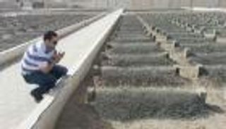 ما حكم زيارة القبور في العيد؟