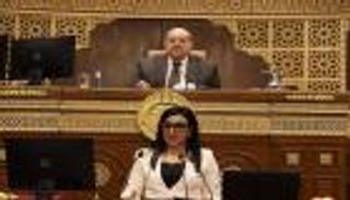 نائبة مصرية: هذه تحركاتنا لتعديل قانون الوصاية على القصر (خاص)