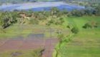 سريلانكا تواجه تغير المناخ بسلاح عتيق