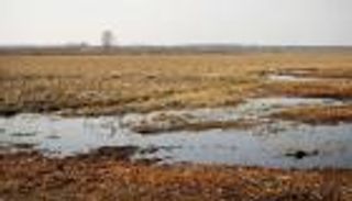 أراضي الخث.. تغيرات المناخ تهدد وسيلة مضمونة لامتصاص الكربون