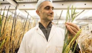 براندي فولف، أستاذ علوم النباتات بجامعة الملك عبد الله للعلوم والتقنية