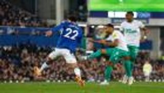 خطوة نحو أوروبا.. قطار نيوكاسل يدهس إيفرتون في الدوري الإنجليزي 