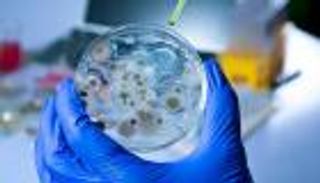 تغير المناخ يُفقد البشر أهم سلاح في مواجهة الفطريات (خاص)