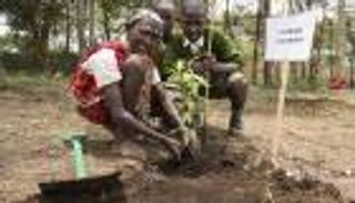 بينها دولة عربية.. اليابان تدعم 16 بلداً لمواجهة تغير المناخ