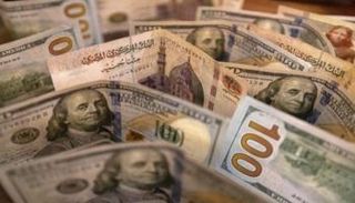 استقرار سعر الدولار اليوم في مصر 