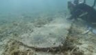 خفايا الحرب الأهلية الأمريكية.. مقبرة تحت الماء توثق "حكايات الموت"