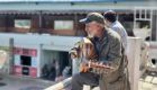 حرب الحوثي تقذف فناني اليمن للعراء.. أصابع "السقاف" تعزف ألما