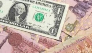 استقرار سعر الدولار اليوم في مصر