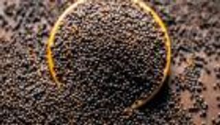 فوائد صحية لا تتخيلها للخردل