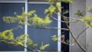  كيف باغت نتنياهو وزراءه وفصائل فلسطين بـ"السهم الواقي"؟