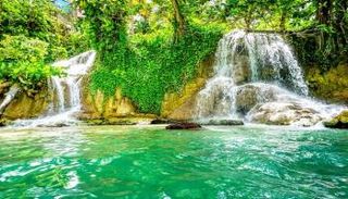 أجمل الحدائق في جامايكا.. 5 عجائب طبيعية مذهلة