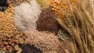 صدمة لـ"الفاو".. أسعار الغذاء عند أعلى مستوى منذ عام