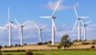 أسواق الكربون الأفريقية.. "سلاح ردع" عالمي لمحاربة تغير المناخ