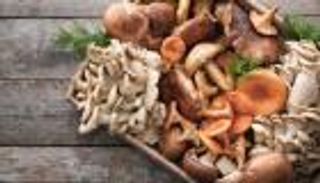 مفاجأة.. الفطر يعالج ارتفاع ضغط الدم