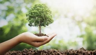 الحفاظ على البيئة أحد أدوات مكافحة التغير المناخي