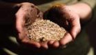 المناخ والأمن الغذائي.. مسارات معقدة